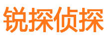 六合市侦探公司